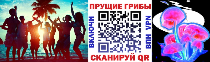 Псилоцибиновые грибы Psilocybe Комсомольск